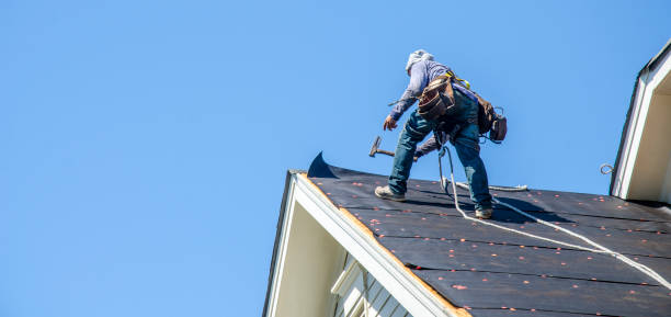 Roof Gutter Cleaning in Jamesport, NY